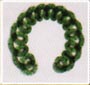 Spirulina